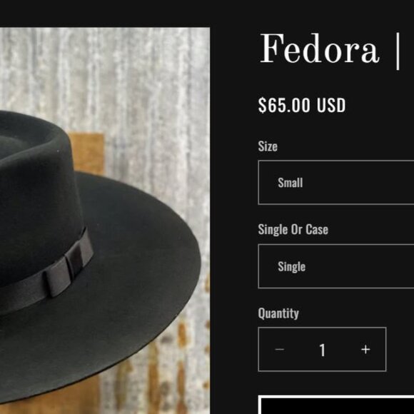BOHO LV Fedora main image 6